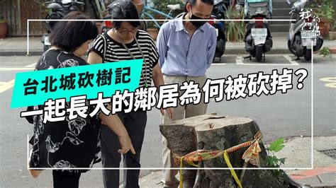 砍樹注意事項|台北城砍樹記｜城市的樹怎麼永保安康